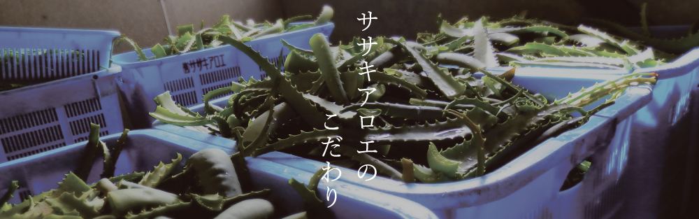 ササキアロエ 西伊豆の潮風が育てた国産アロエ原料 | 株式会社ササキアロエ